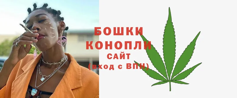 Бошки марихуана SATIVA & INDICA  Белозерск 